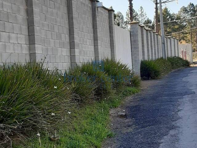 #176 - Chácara para Venda em São José dos Pinhais - PR