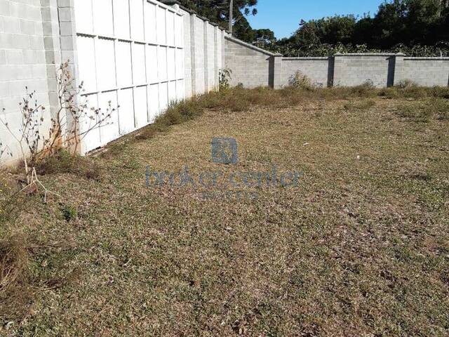 Chácara para Venda em São José dos Pinhais - 4