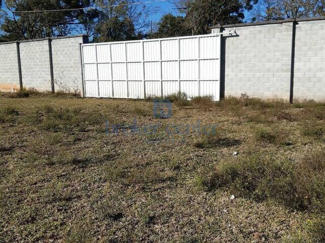#176 - Chácara para Venda em São José dos Pinhais - PR - 3