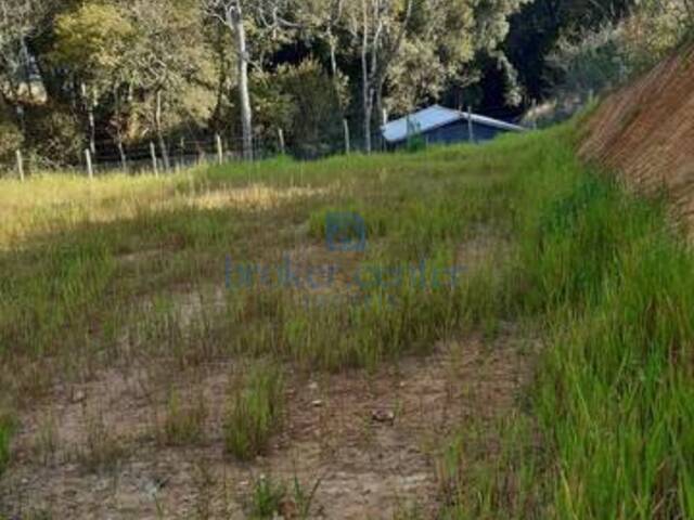 Chácara para Venda em São José dos Pinhais - 5