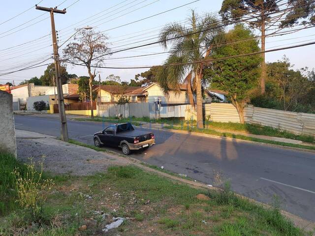 #219 - Área para Venda em São José dos Pinhais - PR