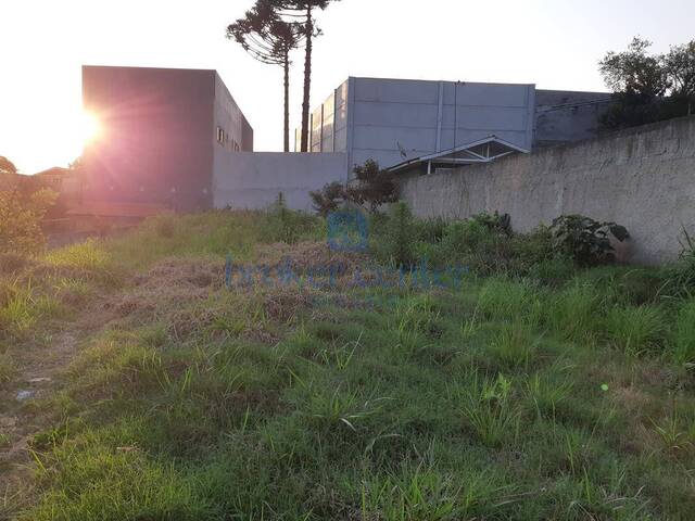 #219 - Área para Venda em São José dos Pinhais - PR
