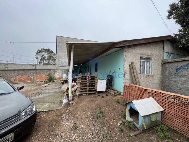 Terreno para Venda em São José dos Pinhais - 5