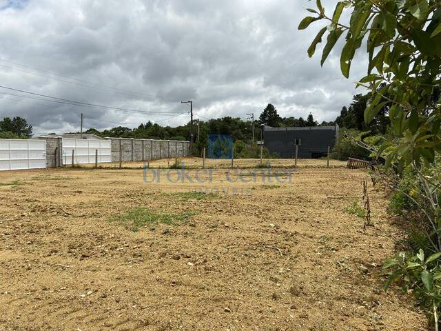 Área para Venda em São José dos Pinhais - 4