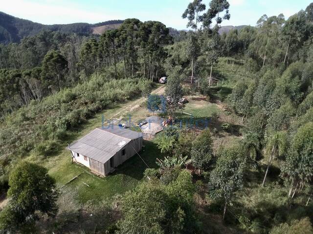 #300 - Chácara para Venda em Campo Magro - PR - 2