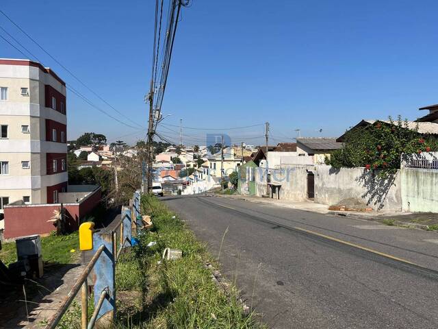 Terreno para Venda em São José dos Pinhais - 4