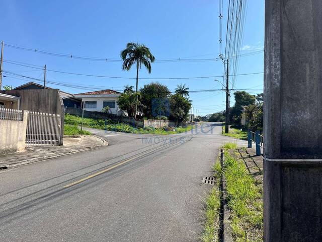 Terreno para Venda em São José dos Pinhais - 5