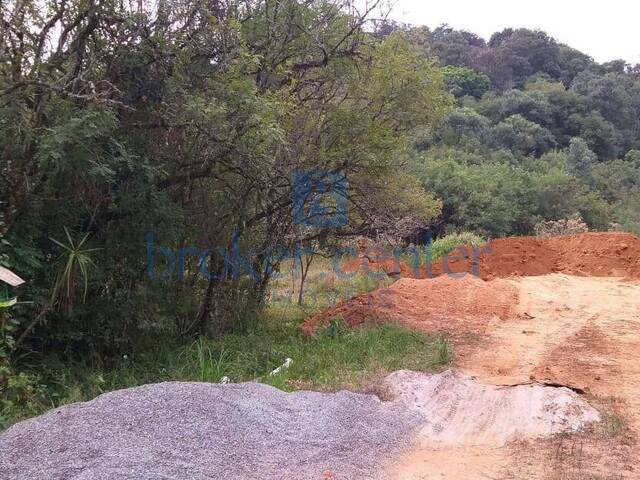 Chácara para Venda em Almirante Tamandaré - 5
