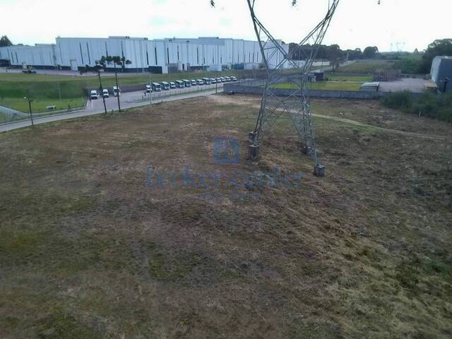 #109 - Área para Venda em São José dos Pinhais - PR