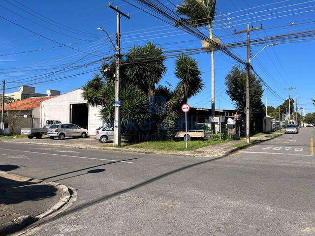 Barracão para Venda em São José dos Pinhais - 4