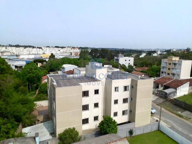 #394 - Apartamento para Locação em São José dos Pinhais - PR - 2