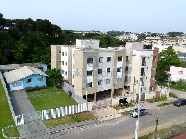 #394 - Apartamento para Locação em São José dos Pinhais - PR - 1