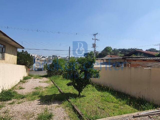 Casa para Locação em São José dos Pinhais - 5