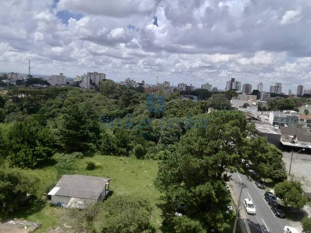 #414 - Área para Venda em São José dos Pinhais - PR - 3