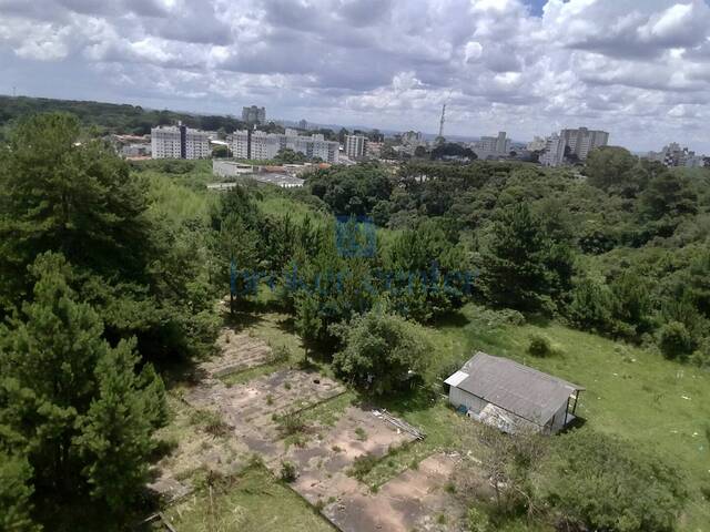 Área para Venda em São José dos Pinhais - 4