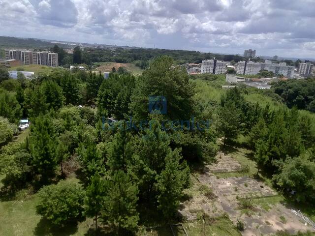 Área para Venda em São José dos Pinhais - 5