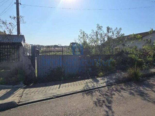 #417 - Área para Venda em Fazenda Rio Grande - PR - 1