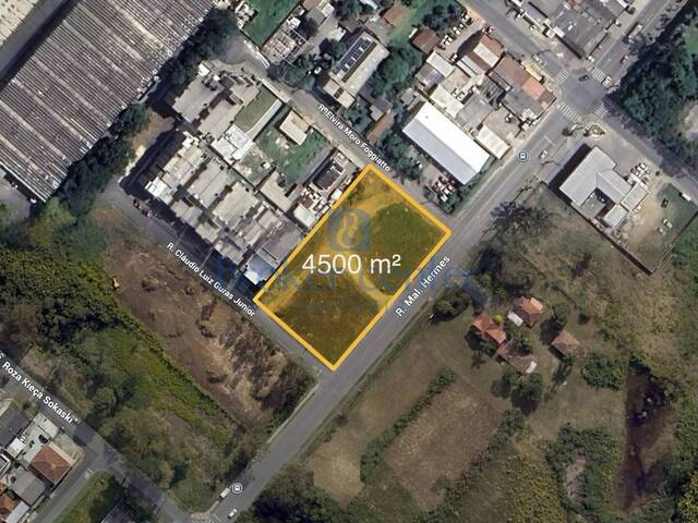 #431 - Terreno para Locação em São José dos Pinhais - PR - 1