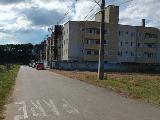 #431 - Terreno para Locação em São José dos Pinhais - PR - 2