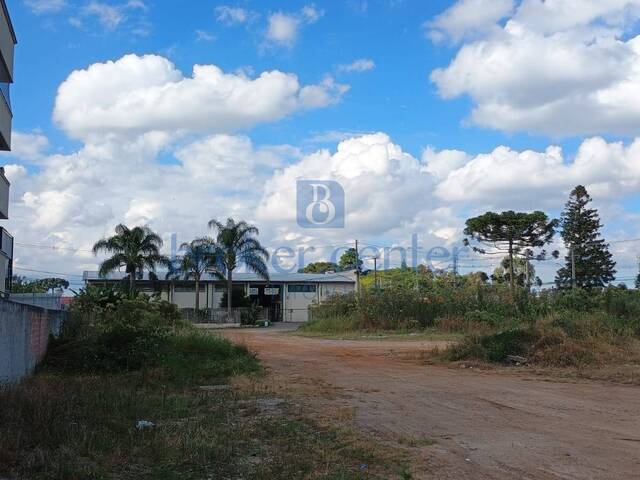 Terreno para Locação em São José dos Pinhais - 4