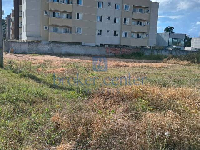 #431 - Terreno para Locação em São José dos Pinhais - PR - 3