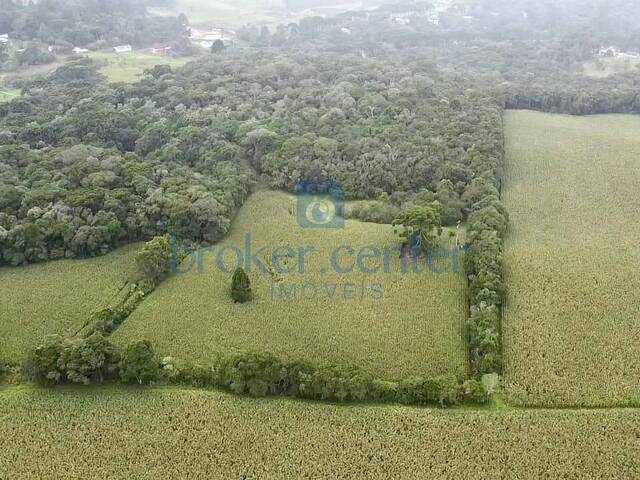 #432 - Chácara para Venda em São José dos Pinhais - PR - 3
