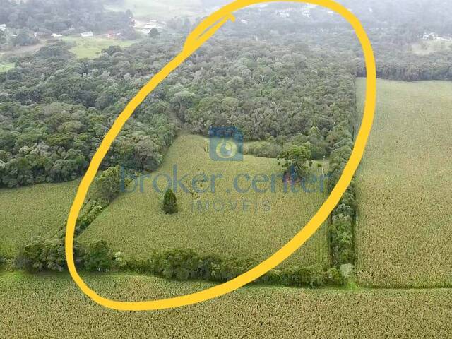 #432 - Chácara para Venda em São José dos Pinhais - PR - 2