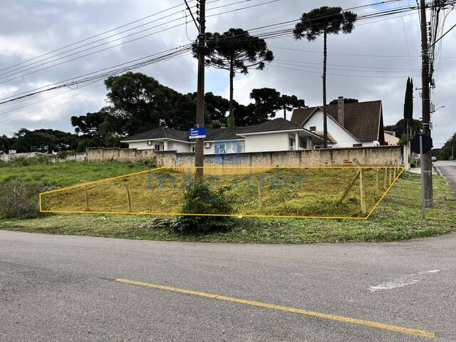 #445 - Terreno para Venda em São José dos Pinhais - PR - 1