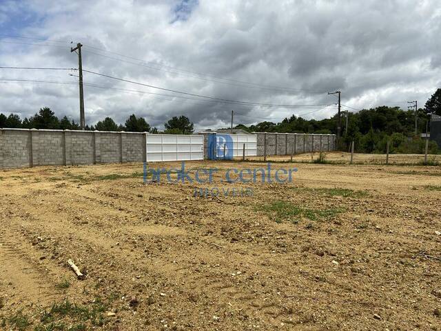 #451 - Terreno para Venda em São José dos Pinhais - PR - 1