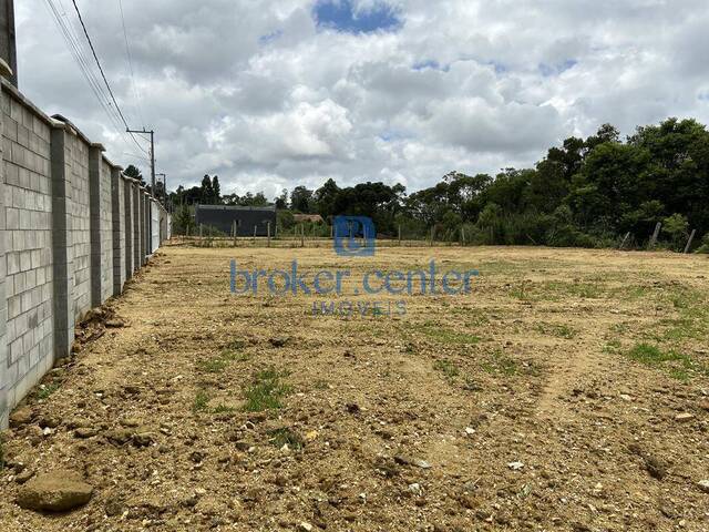 Terreno para Venda em São José dos Pinhais - 5