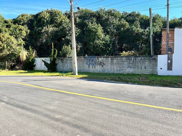 #456 - Terreno para Venda em São José dos Pinhais - PR - 2