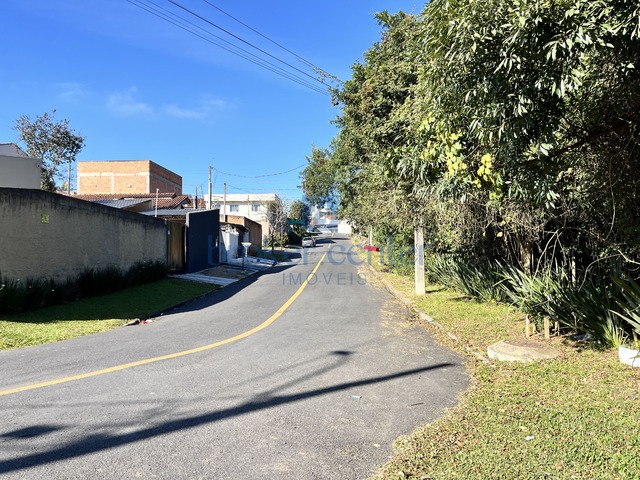 #456 - Terreno para Venda em São José dos Pinhais - PR - 3