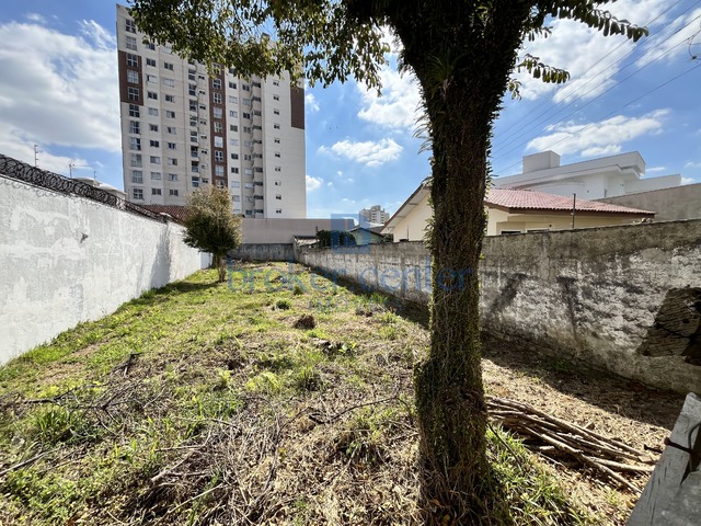 Terreno para Venda em São José dos Pinhais - 4