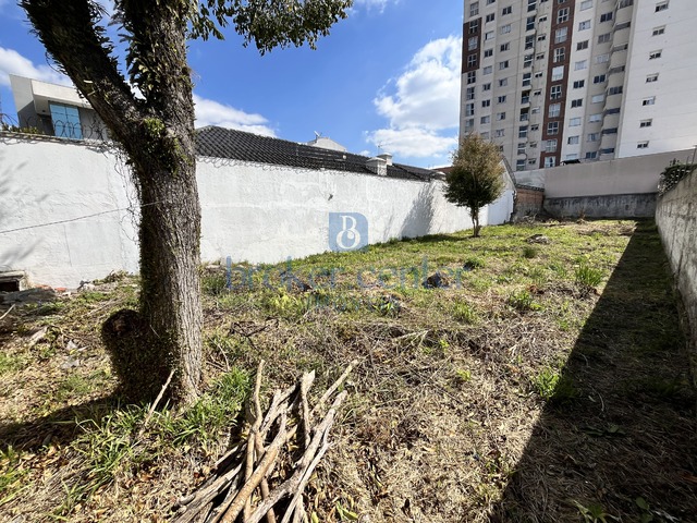 Terreno para Venda em São José dos Pinhais - 5