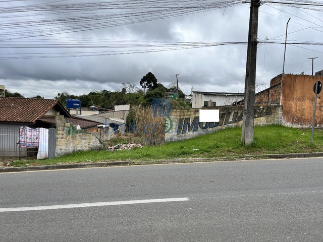 Terreno para Venda em São José dos Pinhais - 4