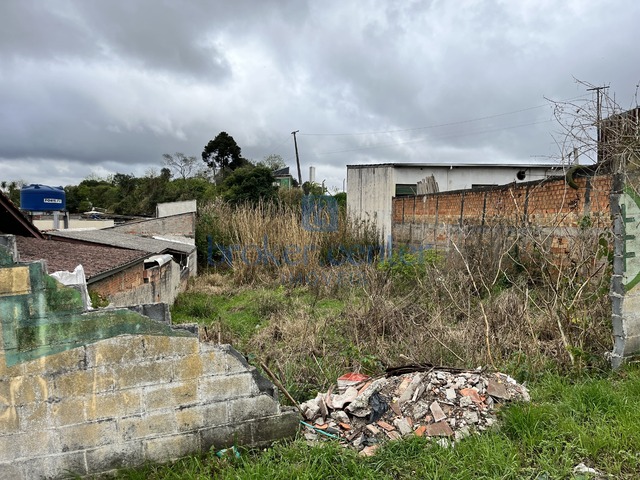 #459 - Terreno para Venda em São José dos Pinhais - PR - 3