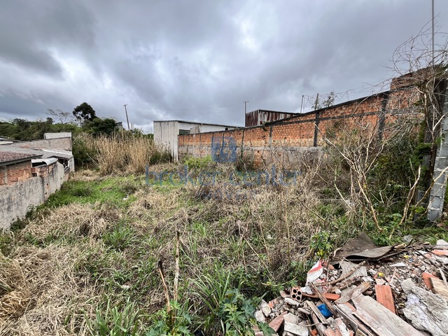 #459 - Terreno para Venda em São José dos Pinhais - PR - 1