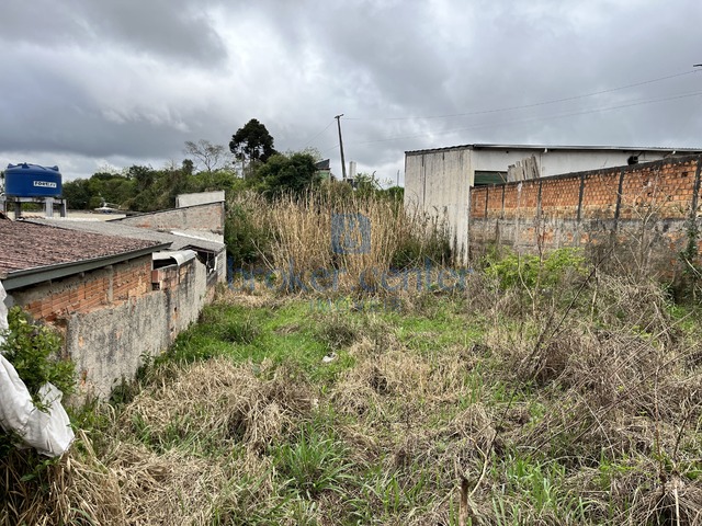 #459 - Terreno para Venda em São José dos Pinhais - PR - 2