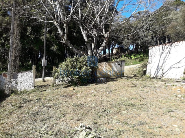 Venda em Boa Vista - Campo Magro