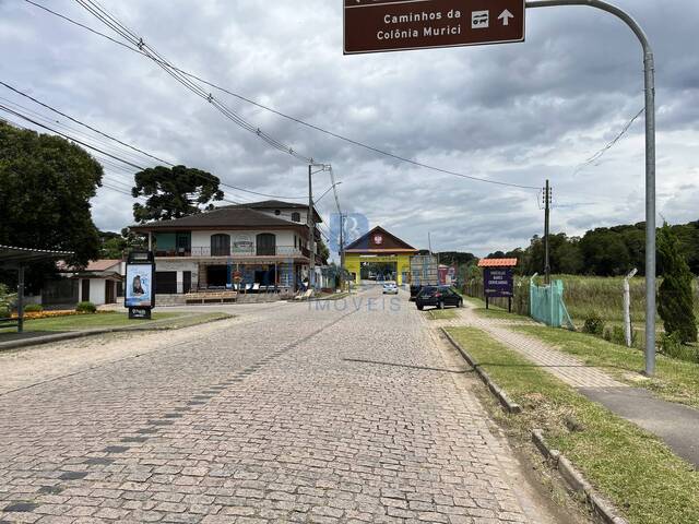 #501 - Chácara para Venda em São José dos Pinhais - PR - 3
