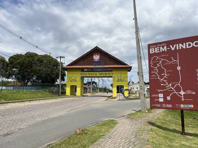 Chácara para Venda em São José dos Pinhais - 5