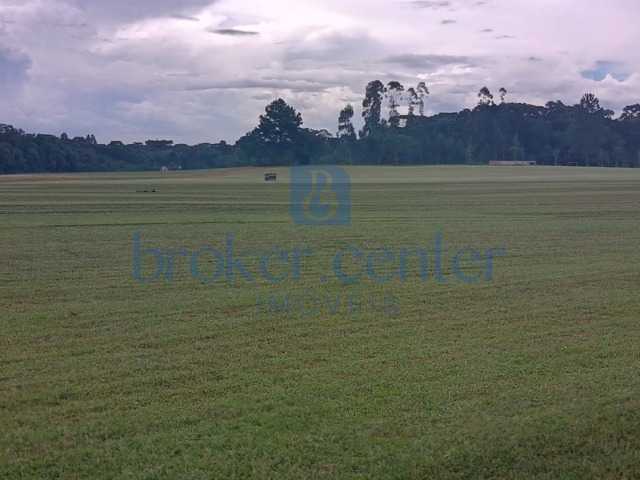 #503 - Área para Venda em São José dos Pinhais - PR