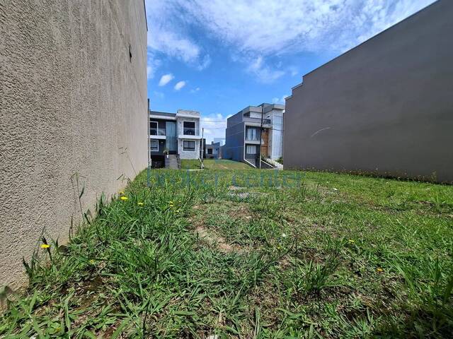 Área para Venda em São José dos Pinhais - 5