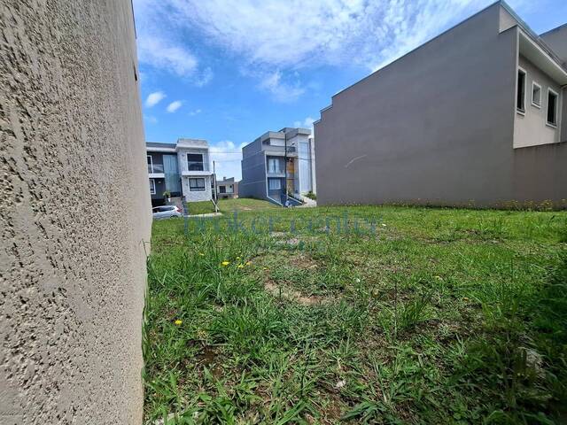 Área para Venda em São José dos Pinhais - 4