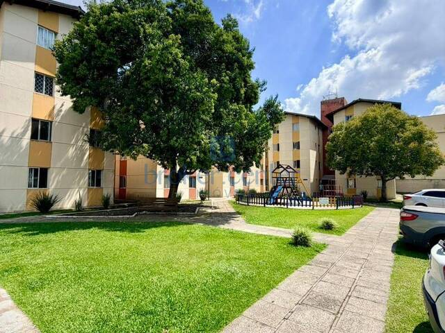 Apartamento para Venda em São José dos Pinhais - 5