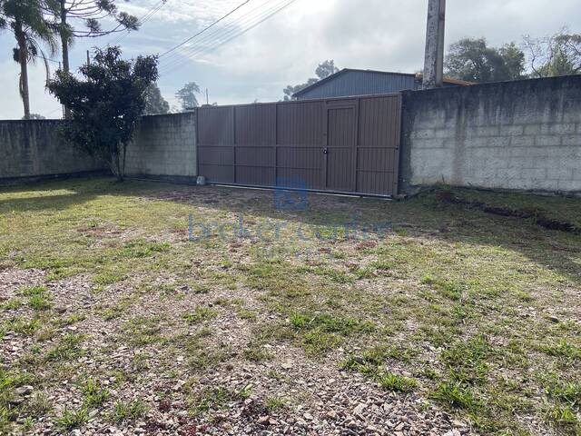 Barracão para Venda em São José dos Pinhais - 5